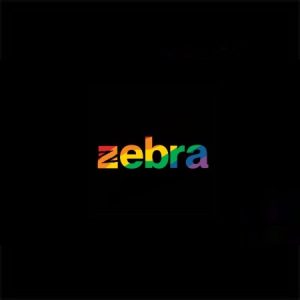 Zebra Consulting at TLR Coworking